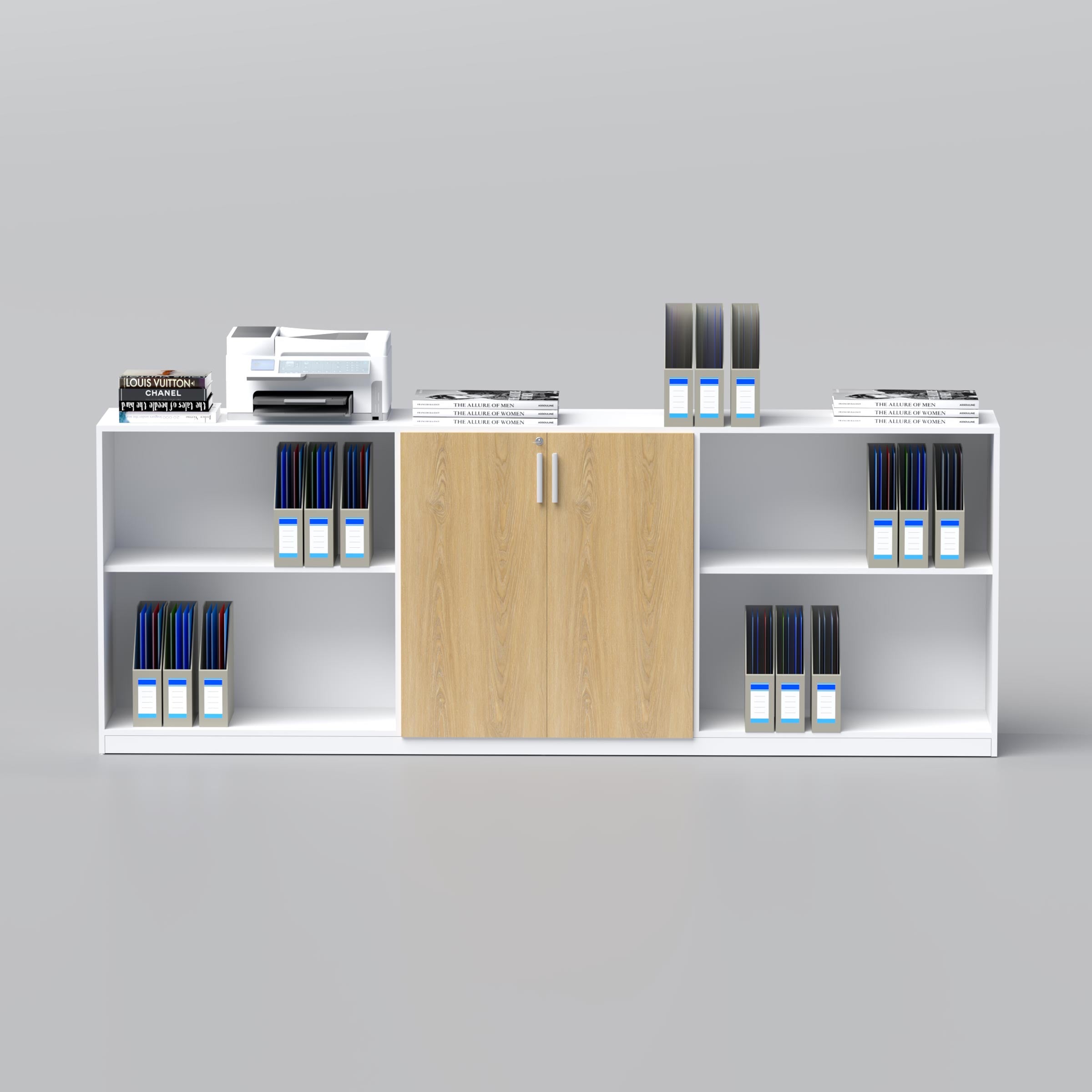 Caylo Low Height Cabinet – Enhance your space with this practical, stylish storage unit.