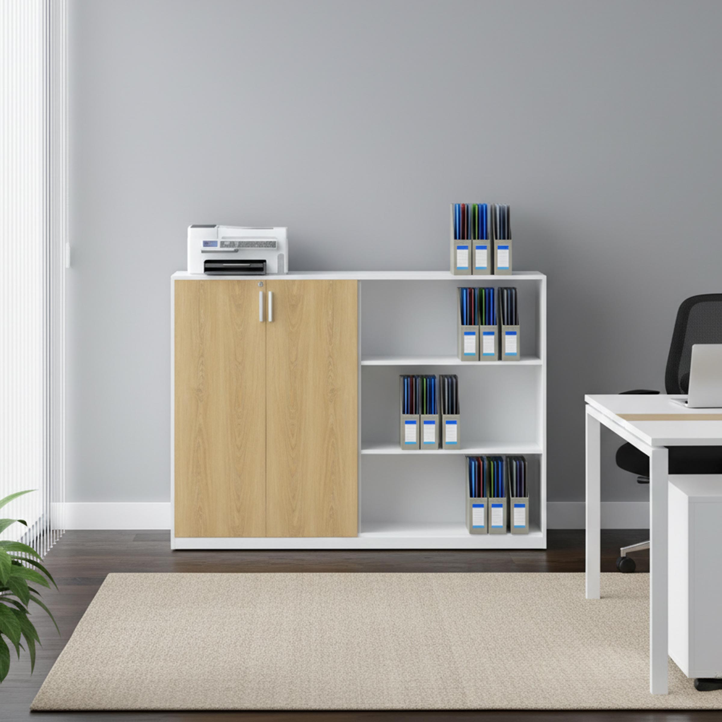 Low Height Cabinet
