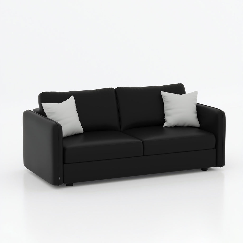 Modern Eyram 2 seater sofa for home, office, bedroom, reception, and comfortable lounge seating