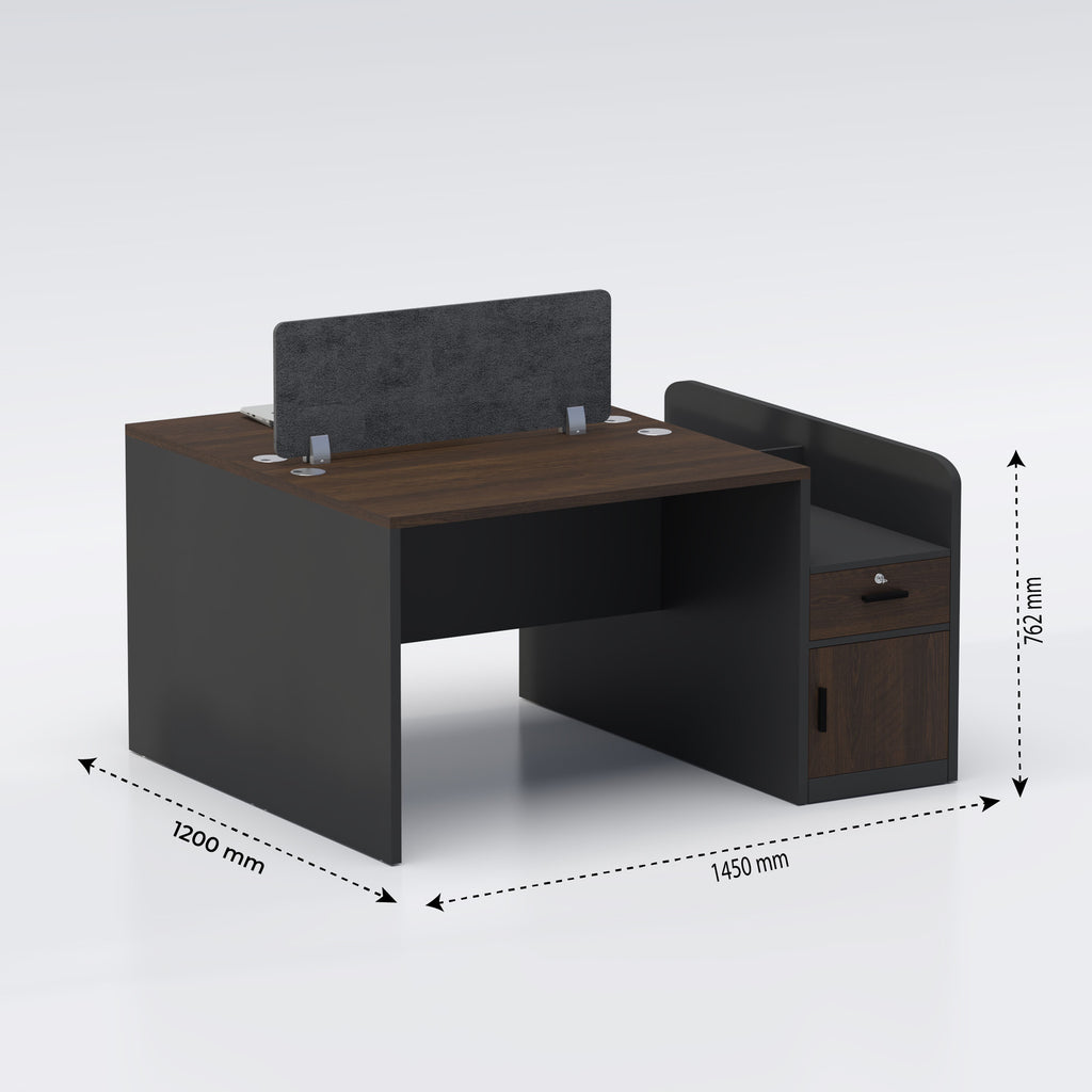 Two Seater Workstation