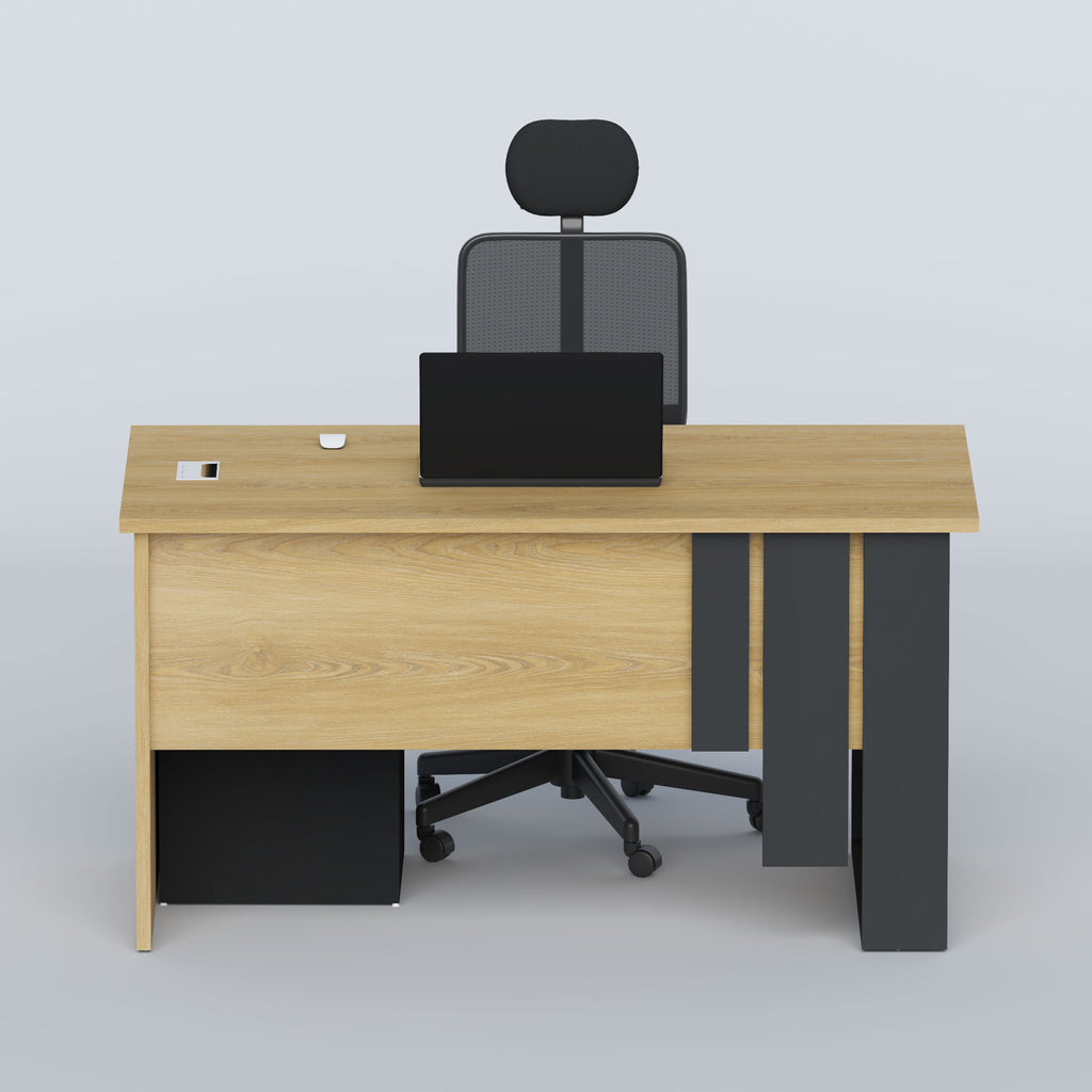 Executive Desk