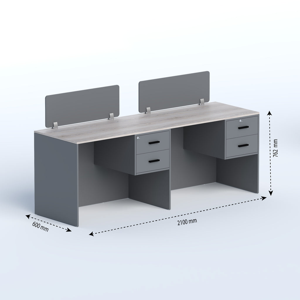 Two-seater Workstation