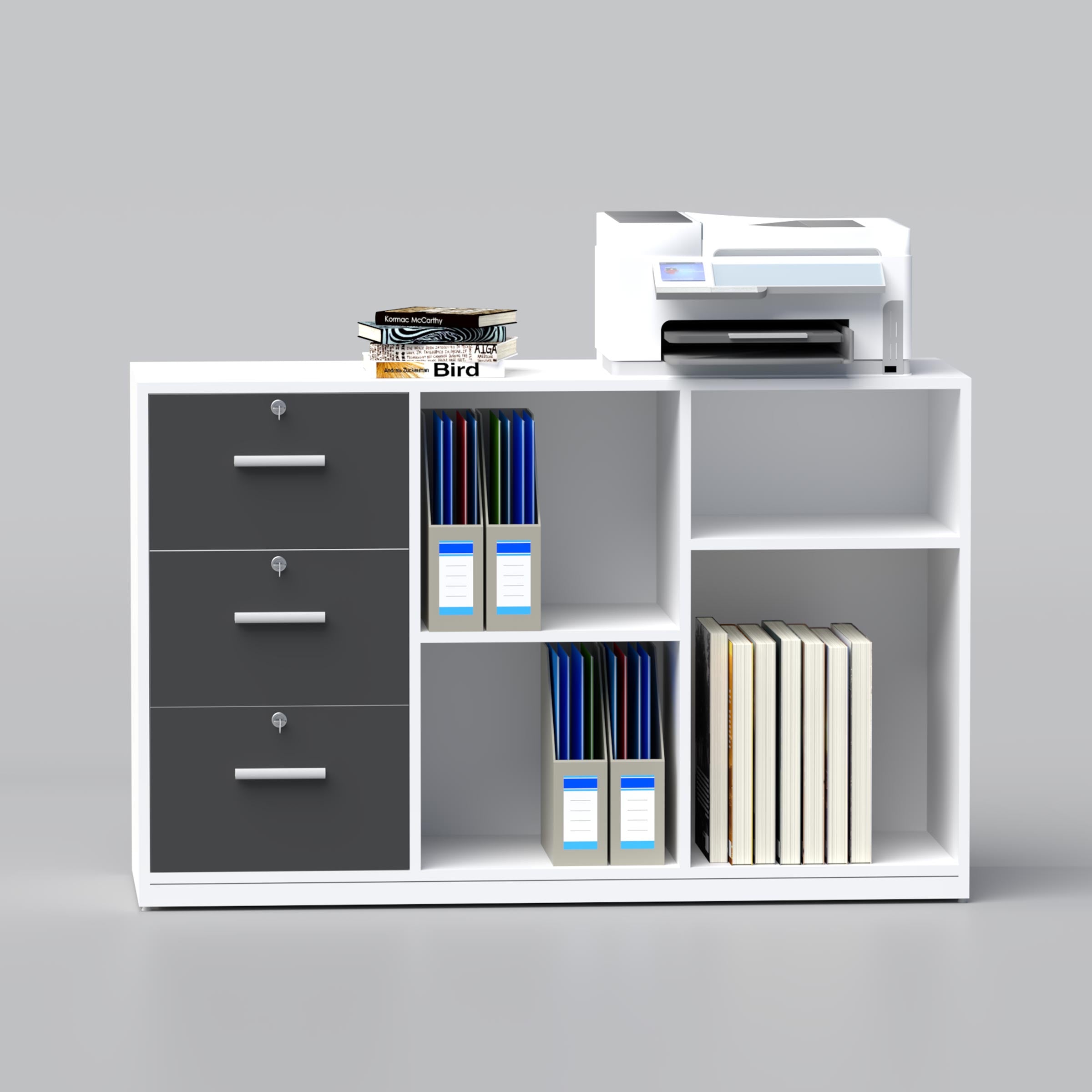 Low Height Cabinet