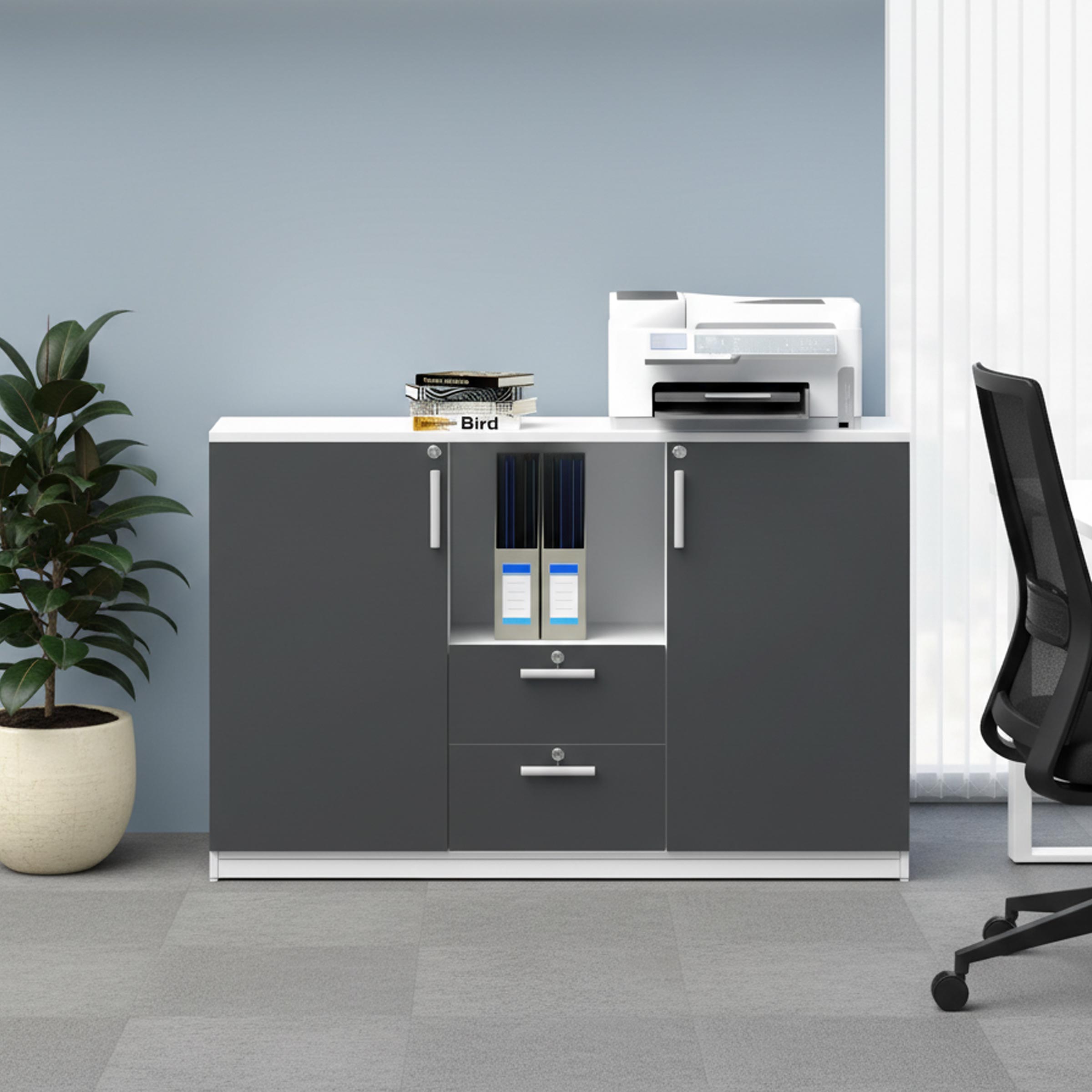 Low Height Cabinet